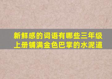 新鲜感的词语有哪些三年级上册铺满金色巴掌的水泥道