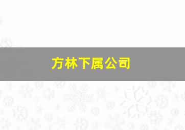 方林下属公司