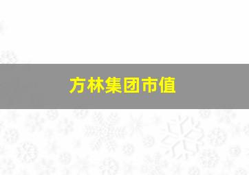 方林集团市值