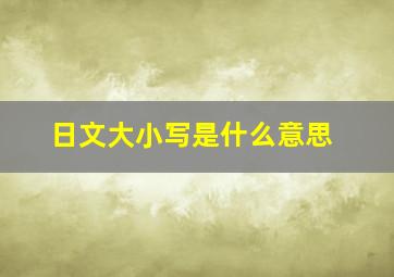 日文大小写是什么意思