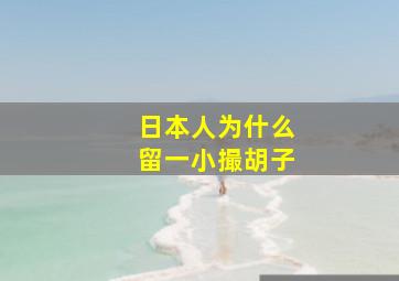 日本人为什么留一小撮胡子