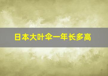 日本大叶伞一年长多高