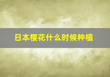 日本樱花什么时候种植