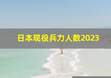 日本现役兵力人数2023