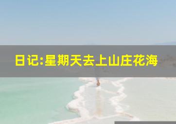 日记:星期天去上山庄花海