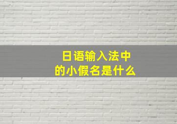 日语输入法中的小假名是什么