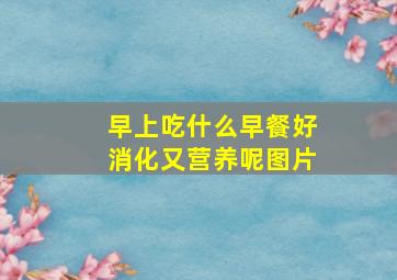 早上吃什么早餐好消化又营养呢图片