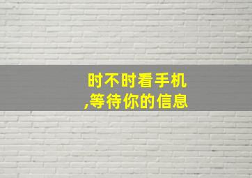 时不时看手机,等待你的信息