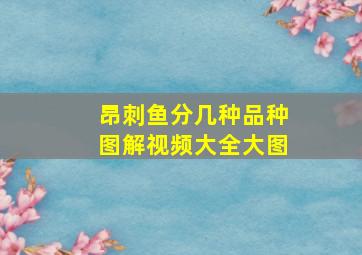 昂刺鱼分几种品种图解视频大全大图