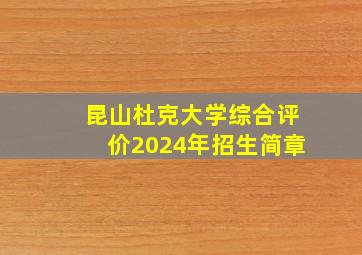 昆山杜克大学综合评价2024年招生简章