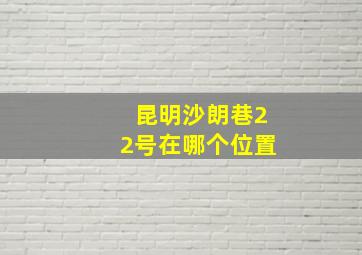 昆明沙朗巷22号在哪个位置