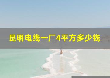 昆明电线一厂4平方多少钱