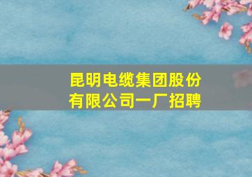 昆明电缆集团股份有限公司一厂招聘