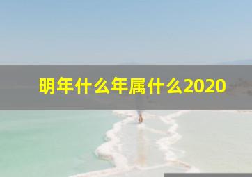 明年什么年属什么2020