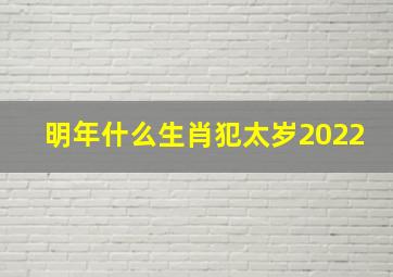 明年什么生肖犯太岁2022