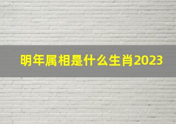 明年属相是什么生肖2023