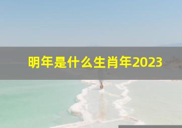 明年是什么生肖年2023