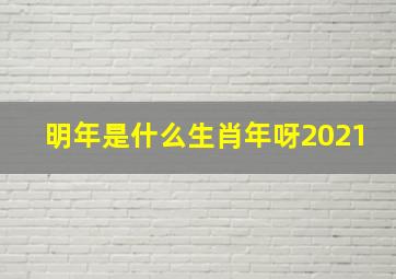 明年是什么生肖年呀2021