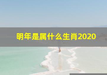 明年是属什么生肖2020