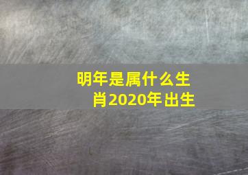 明年是属什么生肖2020年出生