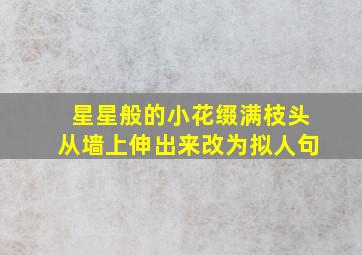 星星般的小花缀满枝头从墙上伸出来改为拟人句