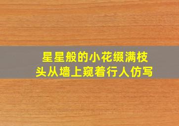 星星般的小花缀满枝头从墙上窥着行人仿写