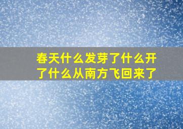 春天什么发芽了什么开了什么从南方飞回来了