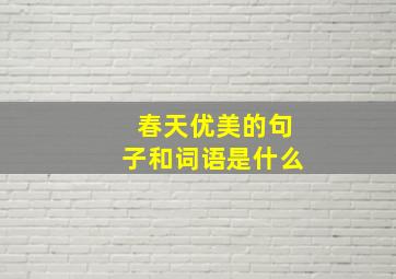 春天优美的句子和词语是什么