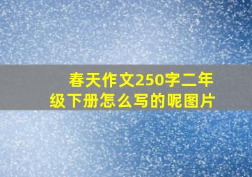 春天作文250字二年级下册怎么写的呢图片