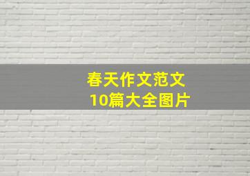 春天作文范文10篇大全图片