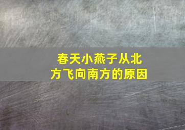 春天小燕子从北方飞向南方的原因