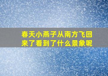 春天小燕子从南方飞回来了看到了什么景象呢