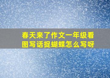 春天来了作文一年级看图写话捉蝴蝶怎么写呀