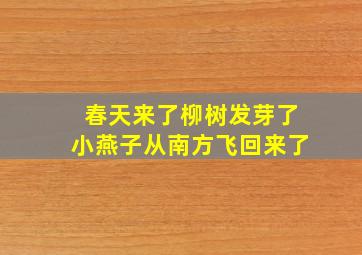 春天来了柳树发芽了小燕子从南方飞回来了