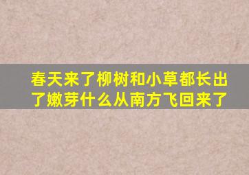 春天来了柳树和小草都长出了嫩芽什么从南方飞回来了