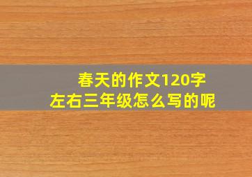 春天的作文120字左右三年级怎么写的呢