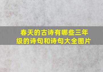 春天的古诗有哪些三年级的诗句和诗句大全图片