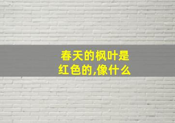 春天的枫叶是红色的,像什么