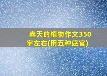 春天的植物作文350字左右(用五种感官)