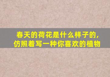 春天的荷花是什么样子的,仿照着写一种你喜欢的植物