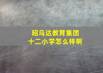 昭乌达教育集团十二小学怎么样啊