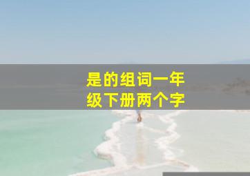 是的组词一年级下册两个字