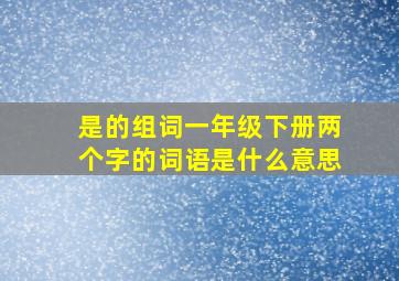 是的组词一年级下册两个字的词语是什么意思