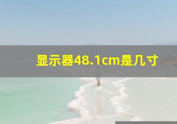 显示器48.1cm是几寸