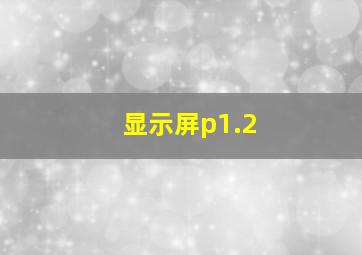 显示屏p1.2