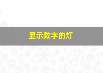 显示数字的灯