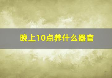 晚上10点养什么器官