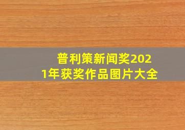 普利策新闻奖2021年获奖作品图片大全