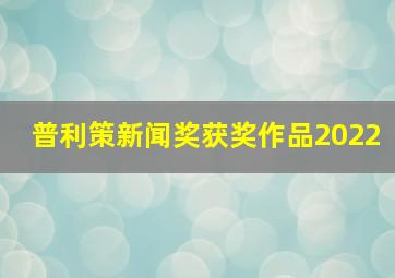 普利策新闻奖获奖作品2022