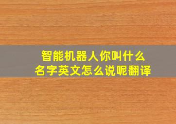 智能机器人你叫什么名字英文怎么说呢翻译